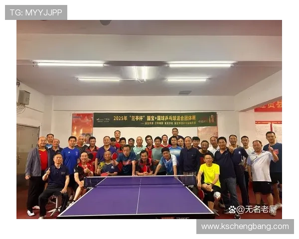 乒乓球的魅力与策略：探究北京乒乓球队的训练与战术体系